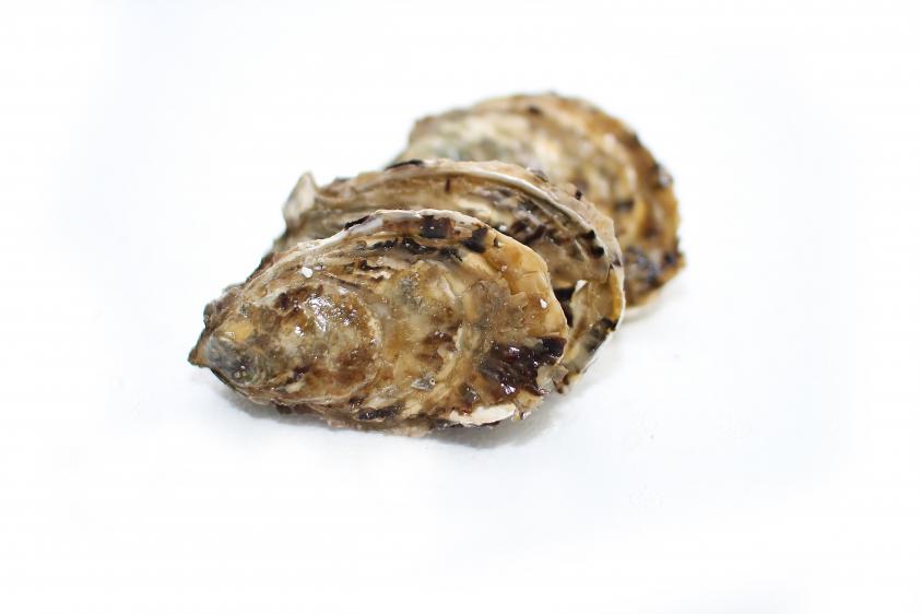 Ostrygi Fin de Belon 14/15, Oysters Fcin de Belon 14/15,Crassostrea Gigas, owoce morza, muszle 